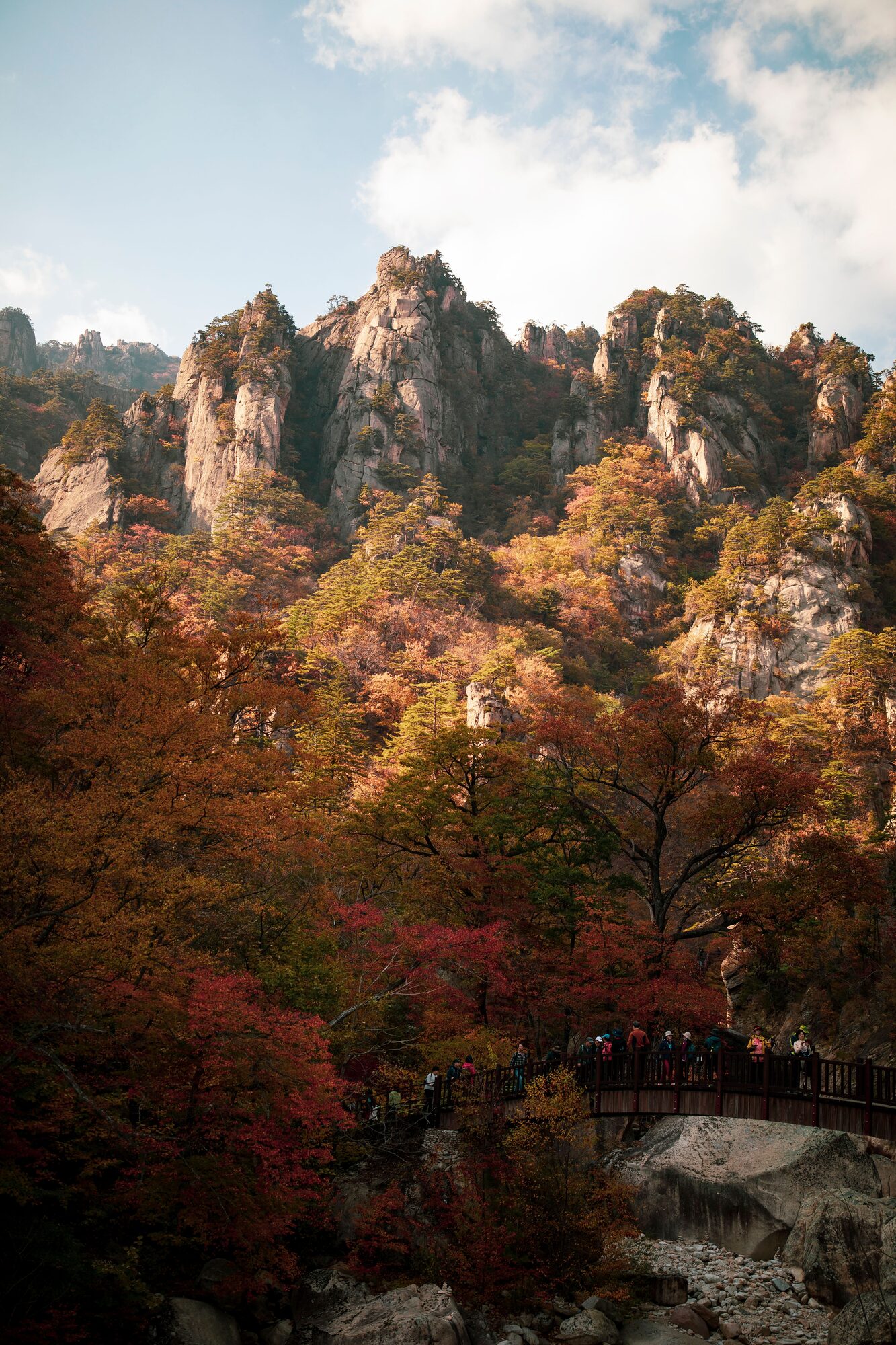 설악산의 가을 단풍