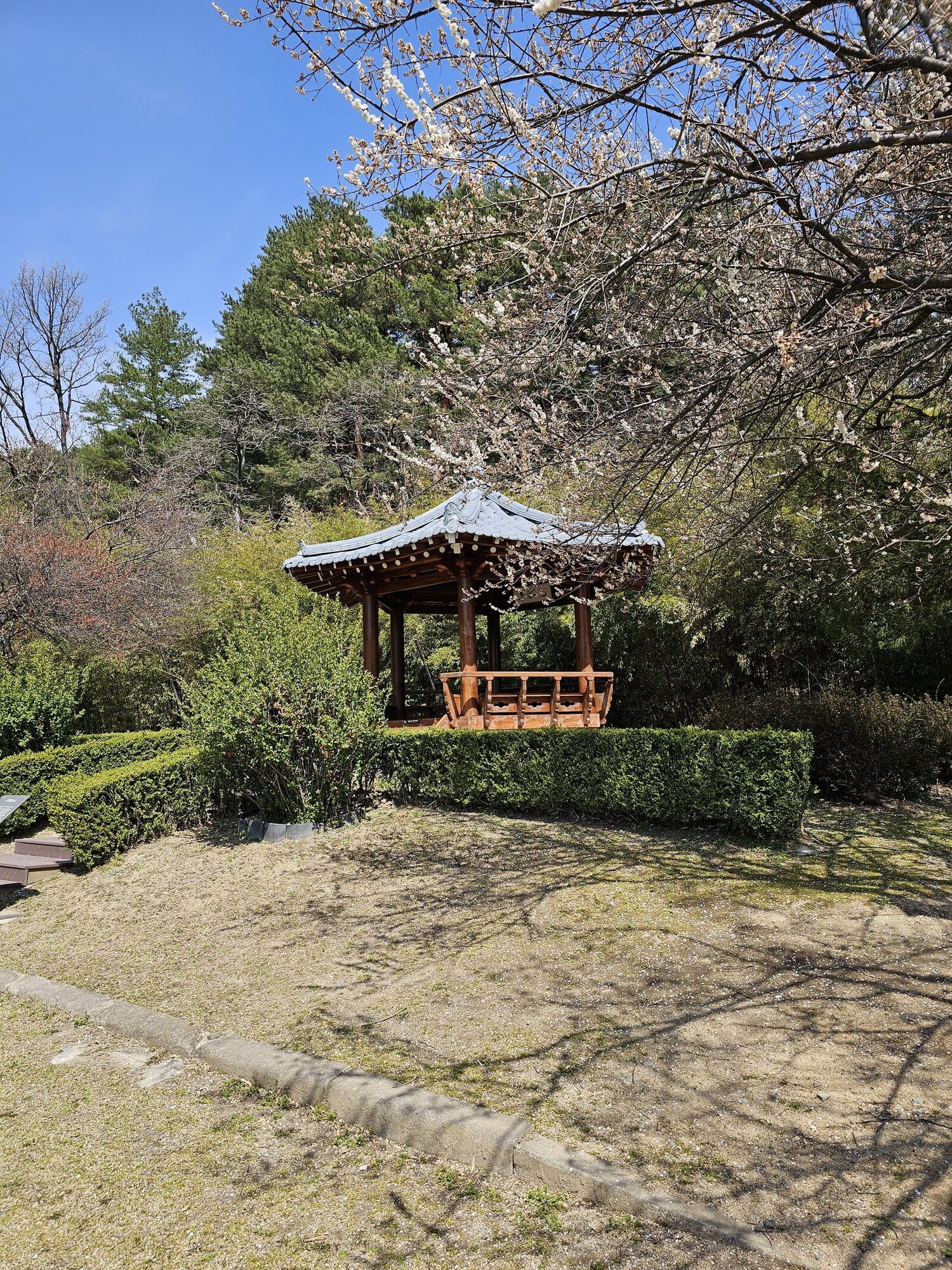 오죽헌 경내 풍경