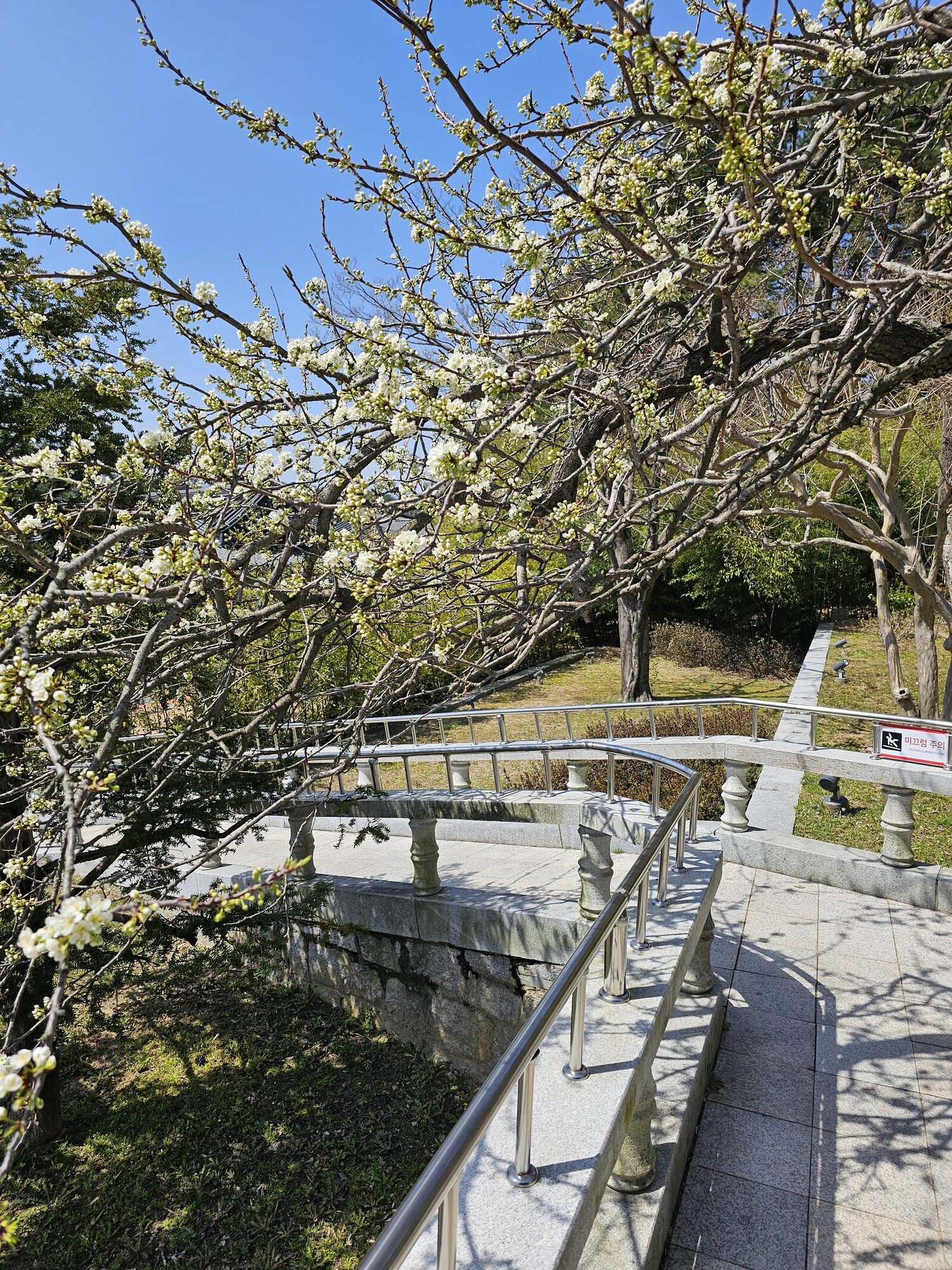 오죽헌 경내 풍경