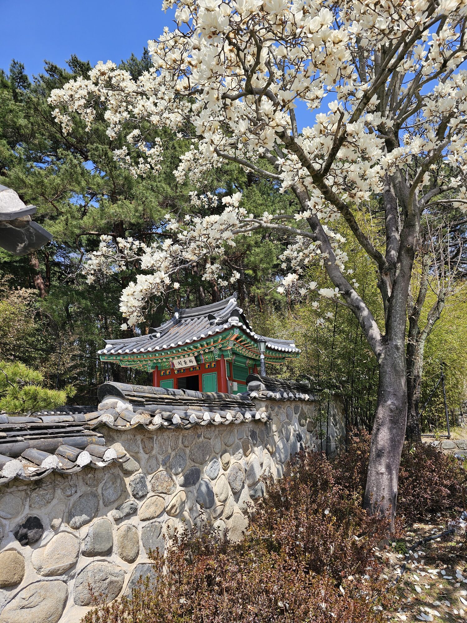 강릉 오죽헌 전경