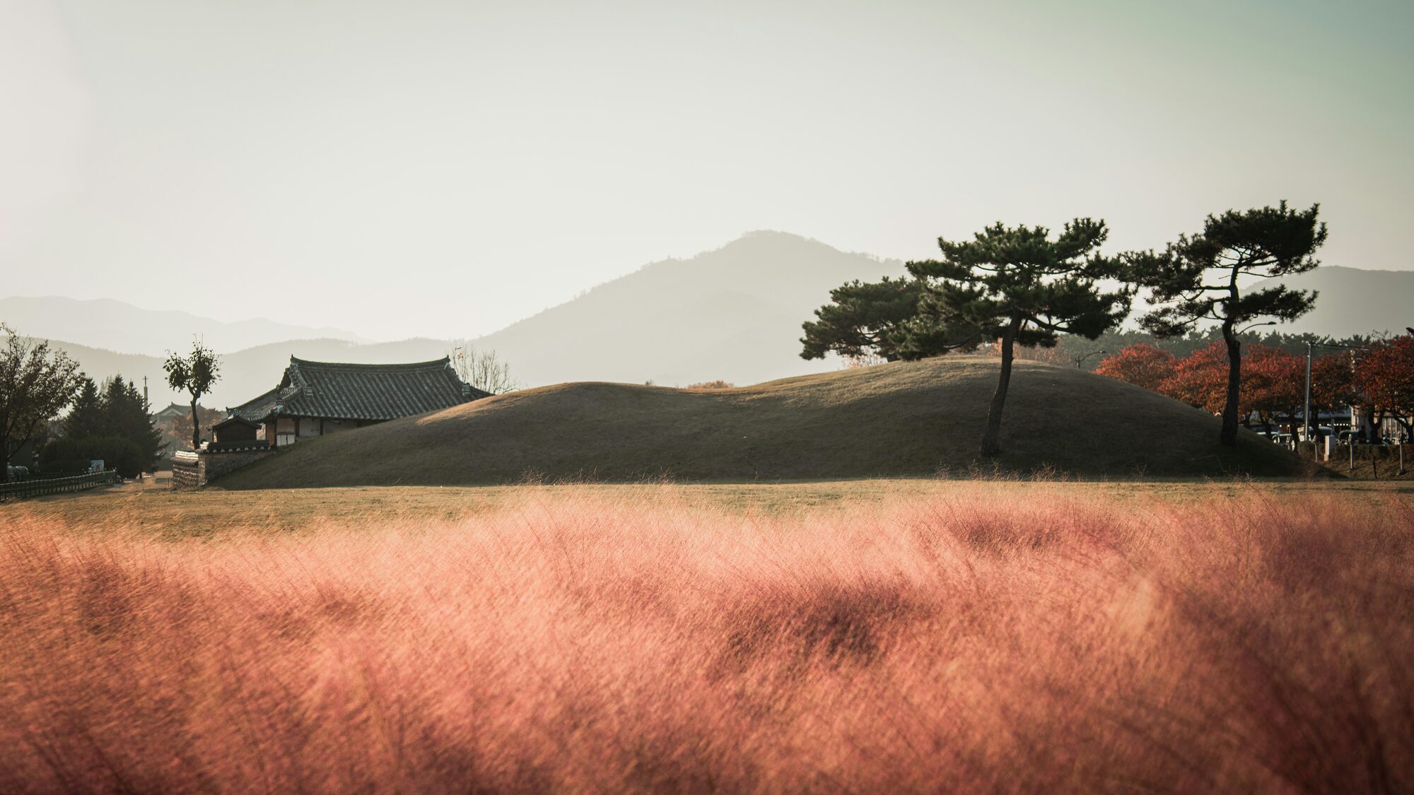 경주 대릉원 고분군