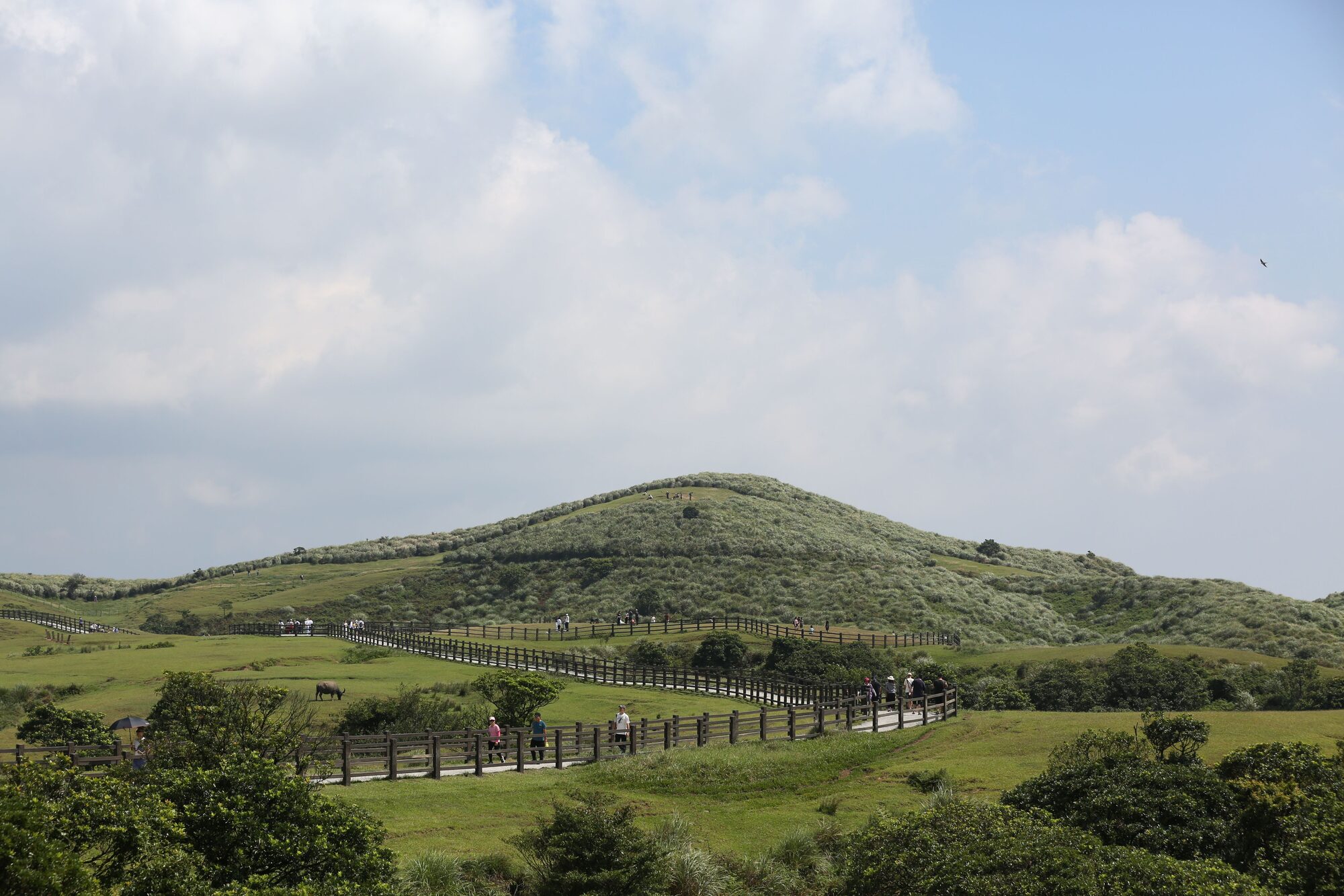 한라산 전경