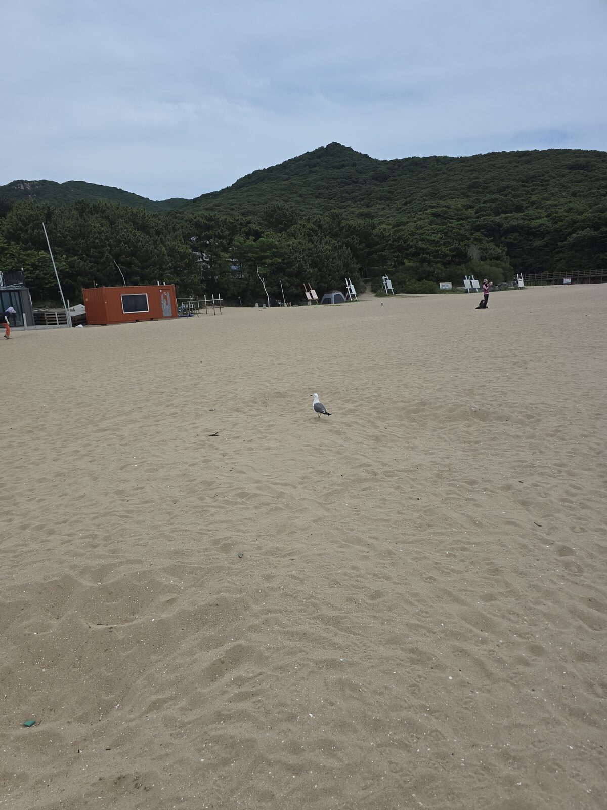 무의도 하나개해수욕장의 바다 풍경