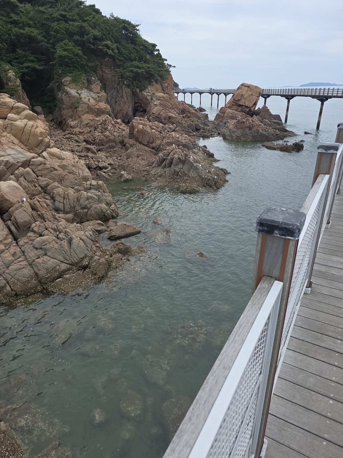바다 위로 펼쳐진 해상관광탐방로 다리